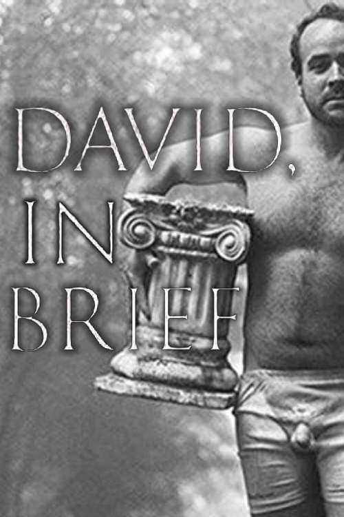 David, In Brief poster