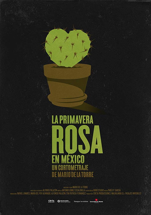 Primavera Rosa en México poster