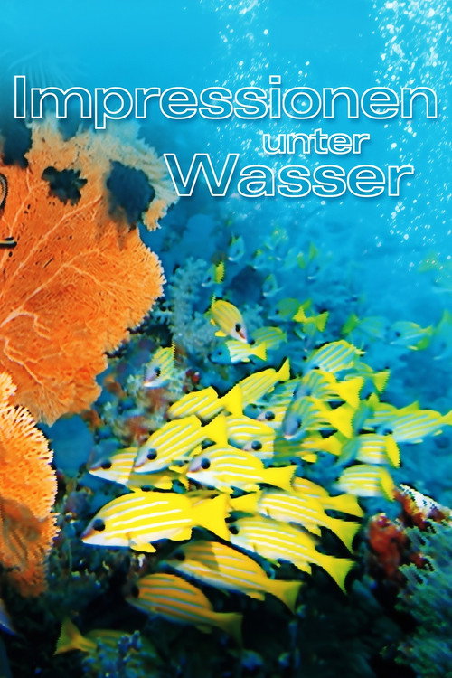 Impressionen unter Wasser poster