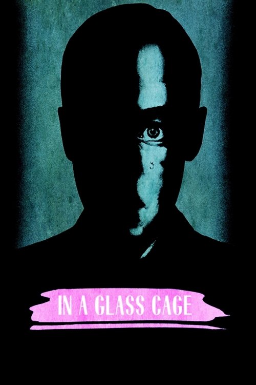 Tras el cristal poster