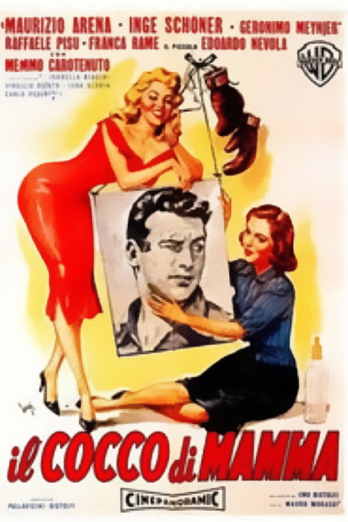 Mamma's Boy poster