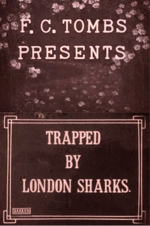 Trapped by the London Sharks poster