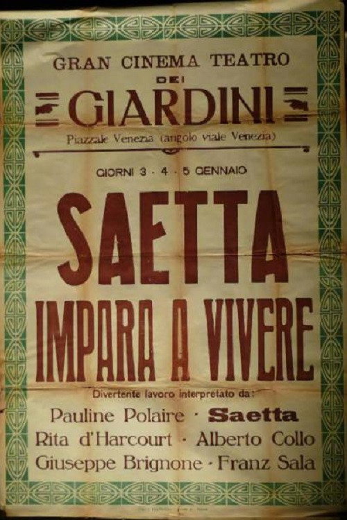 Saetta Learns to Live poster