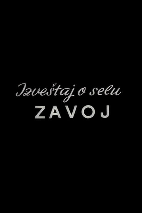 Izveštaj iz sela Zavoj poster