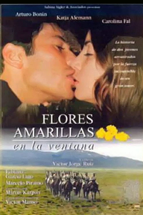Yellow Flowers in the Window poster