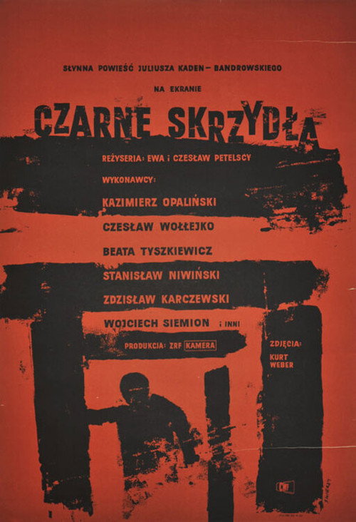 Black Wings poster