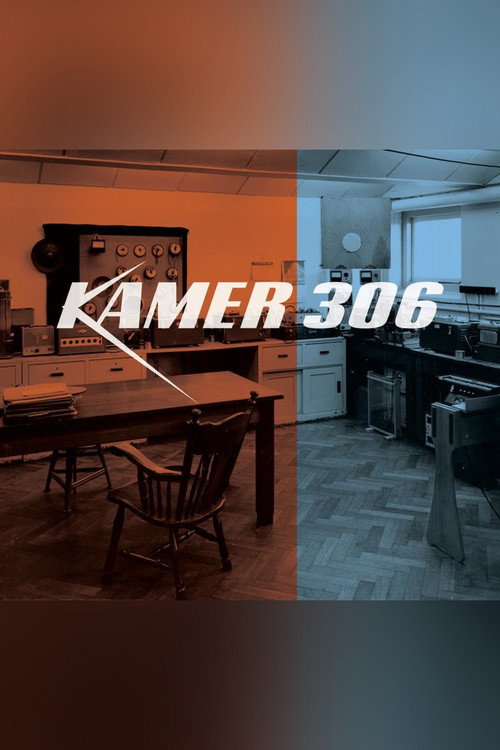 Room 306 poster