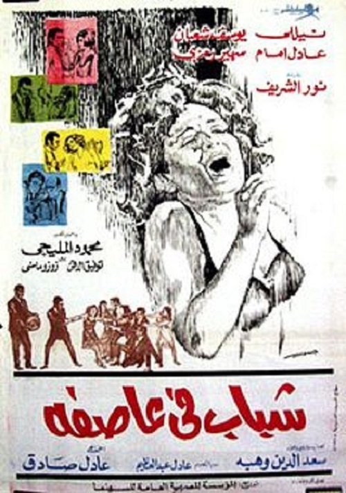 Youth in a Storm poster