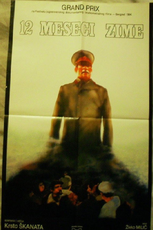 12 meseci zime poster