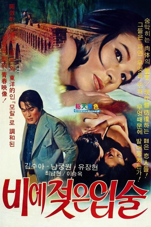 Wet lips in rain poster
