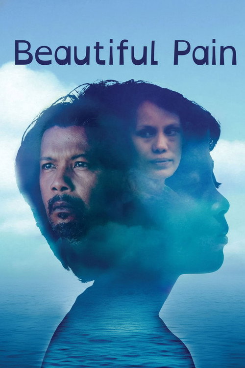Beautiful Pain poster