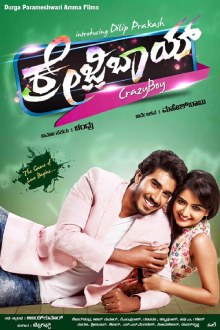 Crazy Boy poster