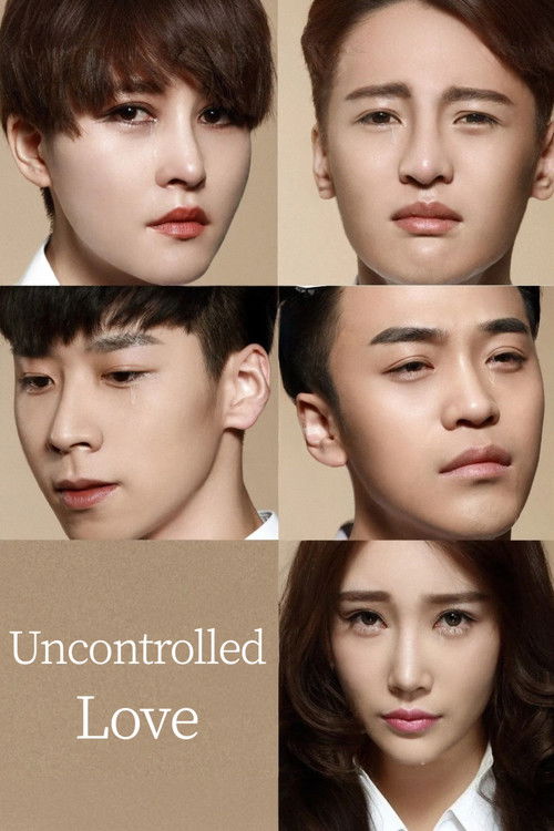 Irresistible Love poster
