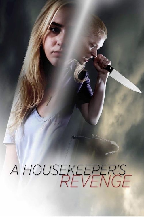 The Maid poster