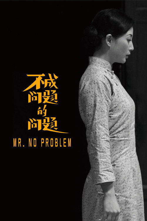 Mr No Problem poster