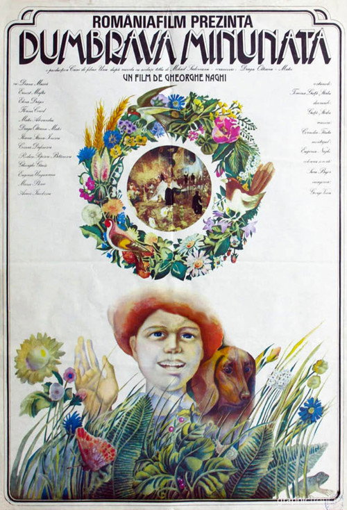 Dumbrava minunata poster