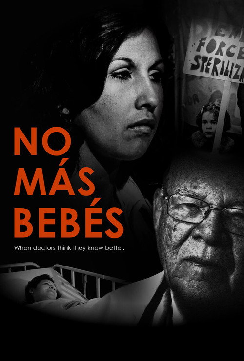 No más bebés poster