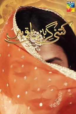 Kitni Girhain Baaki Hain poster