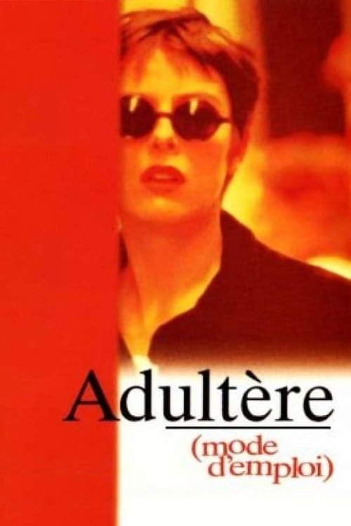 Adultery: A User's Guide poster