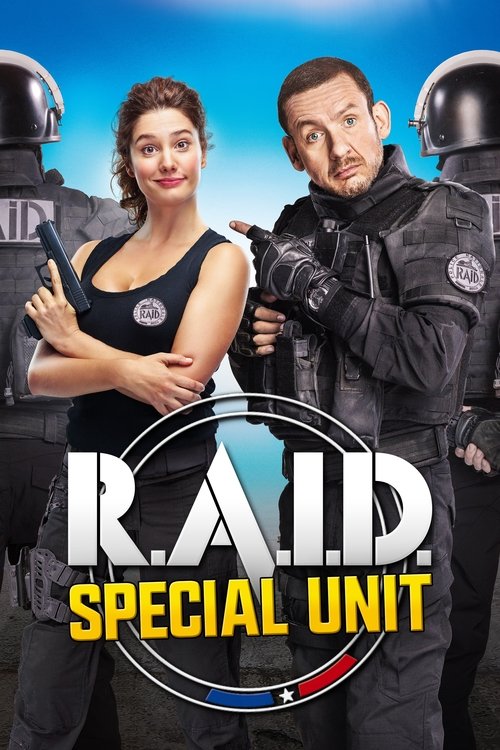 Raid dingue poster