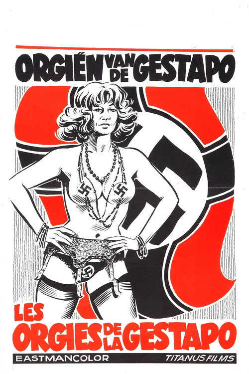 Top Secret Net poster