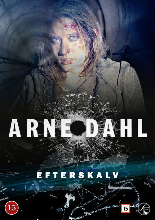 Arne Dahl: Afterquake poster