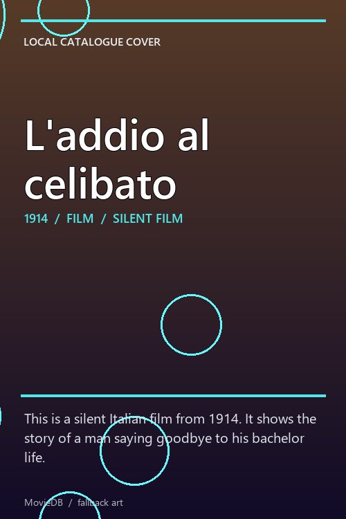 L'addio al celibato poster