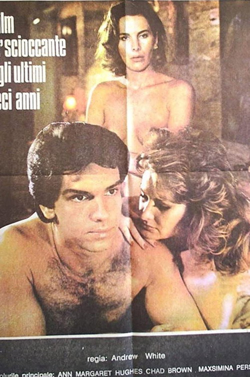 Qualcosa in più poster