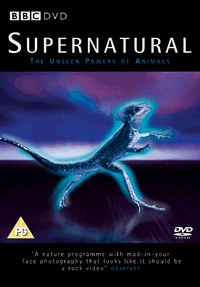 Supernatural: The Unseen Powers of Animals poster