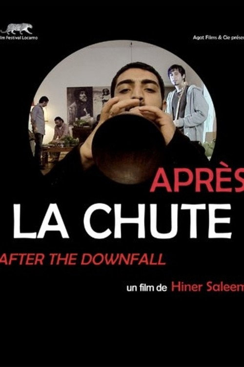 Après la chute poster