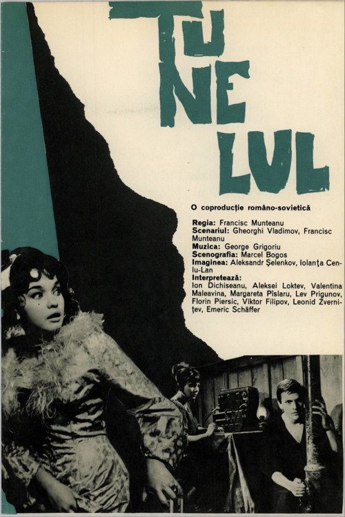 Tunelul poster