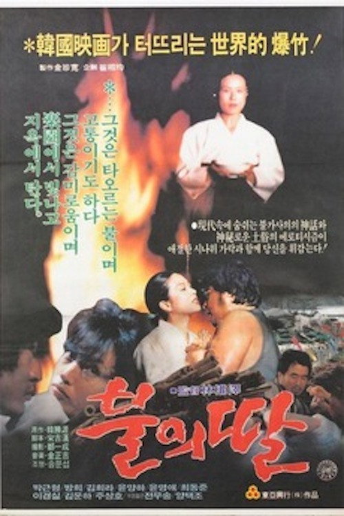 Daughter of Fire poster