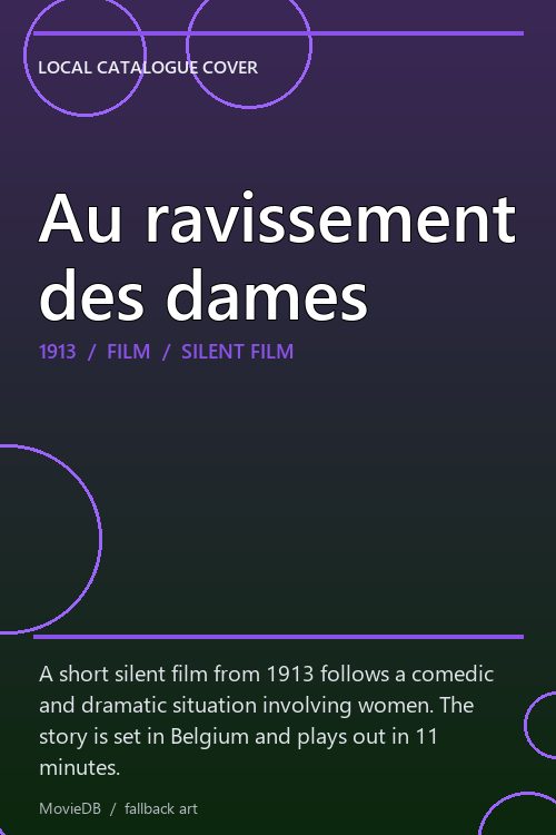 Au ravissement des dames poster