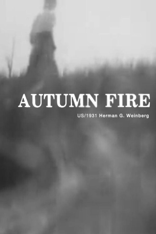 Autumn fire poster
