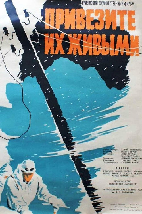Avalansa poster