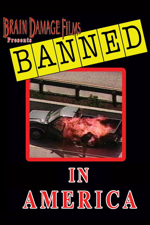 Banned! In America poster