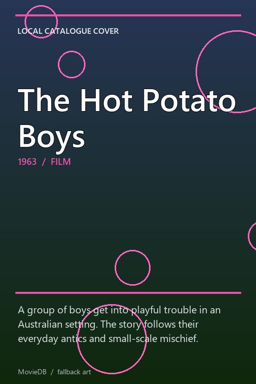 The Hot Potato Boys poster