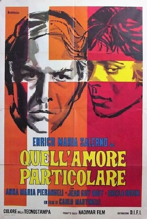 Quell'amore particolare poster