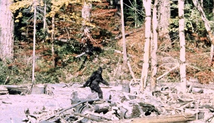 Patterson-Gimlin film poster