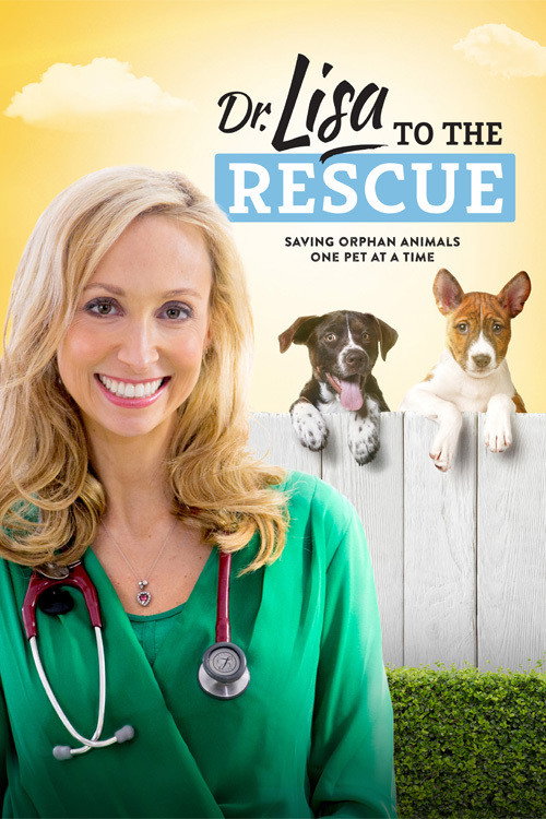 Dr. Lisa to the Rescue poster