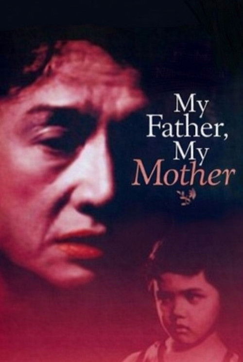 Ang Tatay Kong Nanay poster