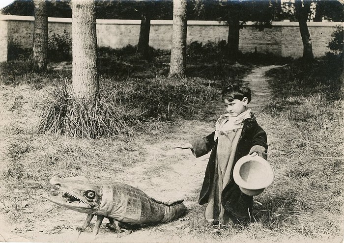 Bout-de-Zan et le crocodile poster