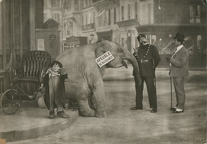 Tiny Tim and the Adventures of His Elephant poster