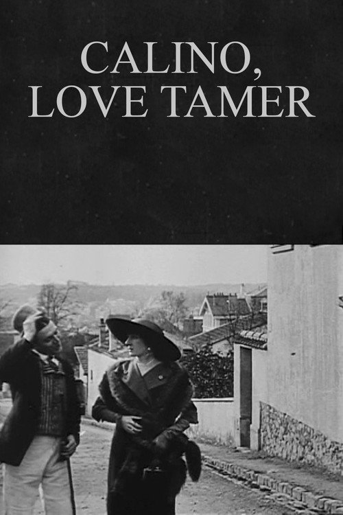 Calino dompteur par amour poster