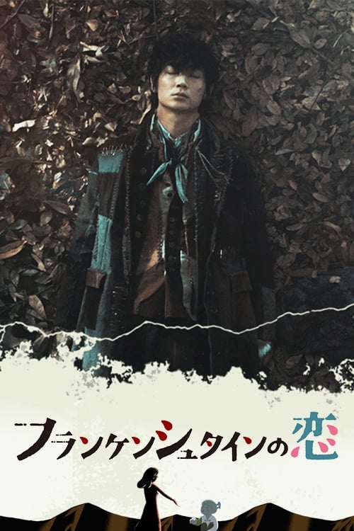 Frankenstein in Love poster