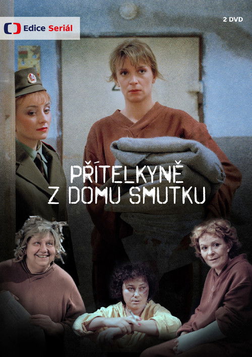 Přítelkyně z domu smutku (TV series) poster