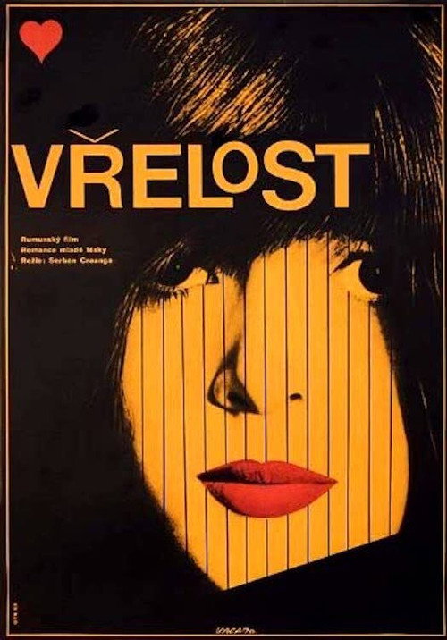 Warmth poster