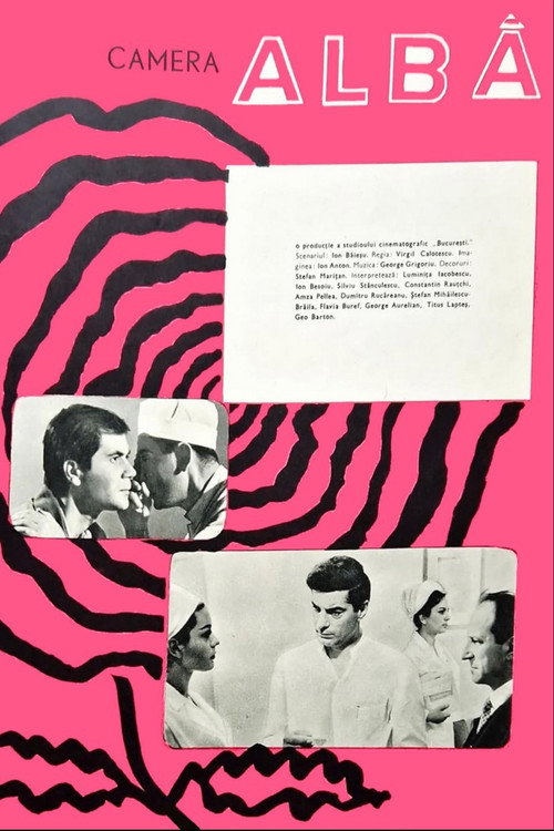 Camera alba poster