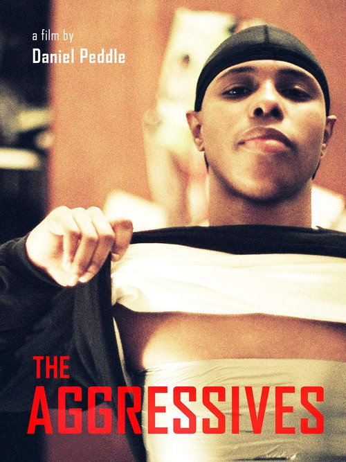 The Aggressives poster