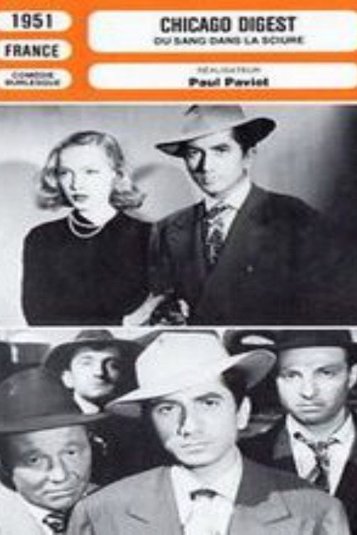 Chicago-digest poster